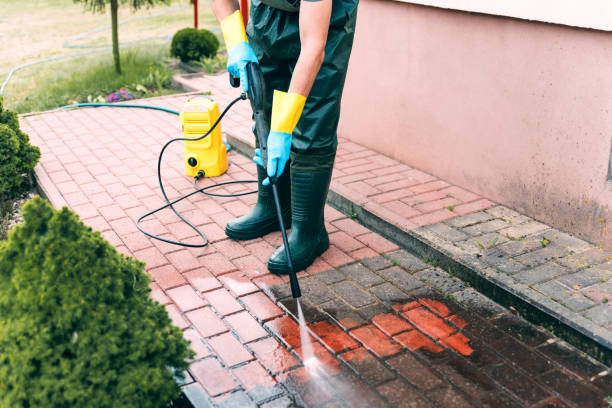 Best House Exterior Washing  in Park Rapids, MN